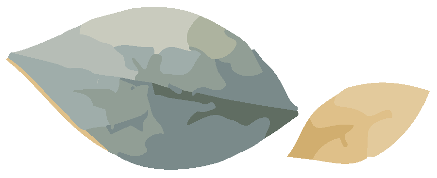 leaf